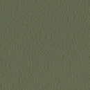 Eucalyptus Image