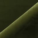 Preston Velvet Fern Image
