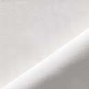 Shoalwater White Image