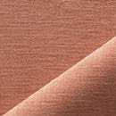 Club Soft Coral Image