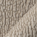 Fortitude Camel Image