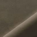 NU-Touch Eucalyptus Image