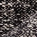 Positano ZEBRA Image