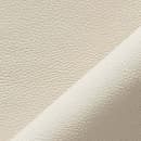 Roma Ivory Image
