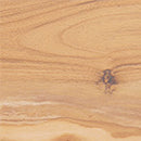 Sienna Image